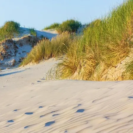 Stone With Fenced Garden Tatil Evi
