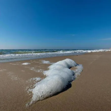 Stone With Fenced Garden Tatil Evi