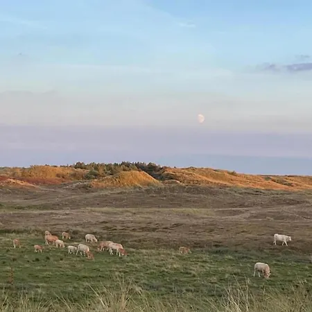 Stone With Fenced Garden Sint Maartensvlotbrug