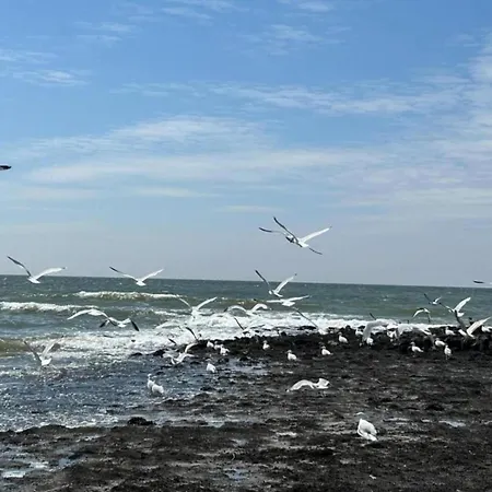 Dom wakacyjny Stone With Fenced Garden *