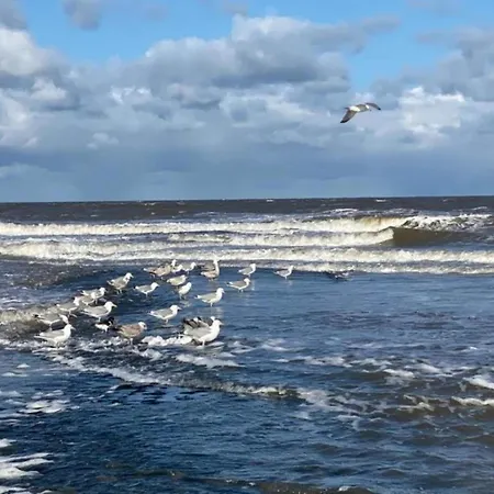 Stone With Fenced Garden Dom wakacyjny