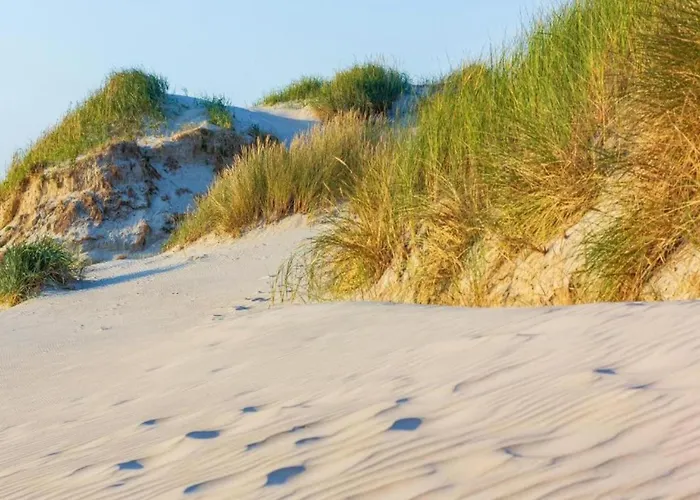 Stone With Fenced Garden Dom wakacyjny