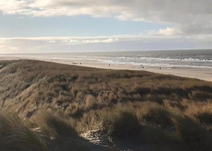 Stone With Fenced Garden