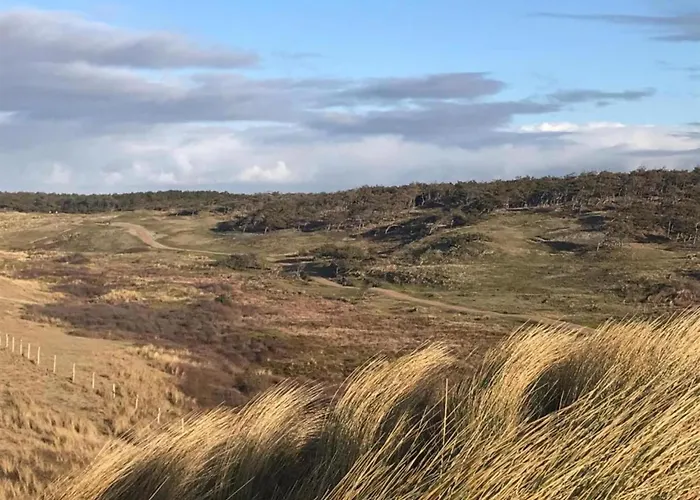 Dom wakacyjny Stone With Fenced Garden *