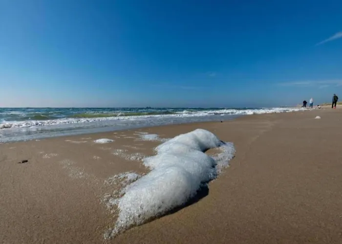 Stone With Fenced Garden Dom wakacyjny