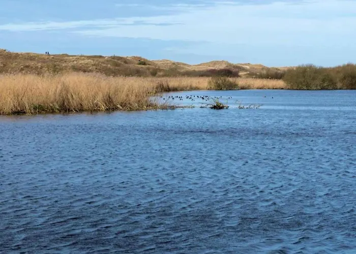 Dom wakacyjny Stone With Fenced Garden Sint Maartensvlotbrug