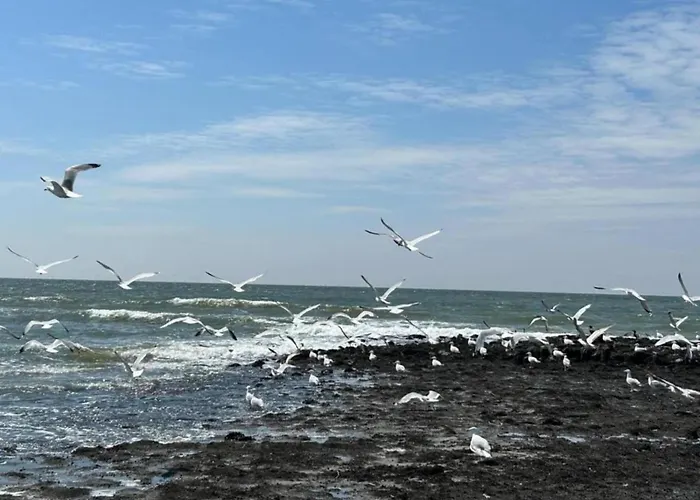 Dom wakacyjny Stone With Fenced Garden *
