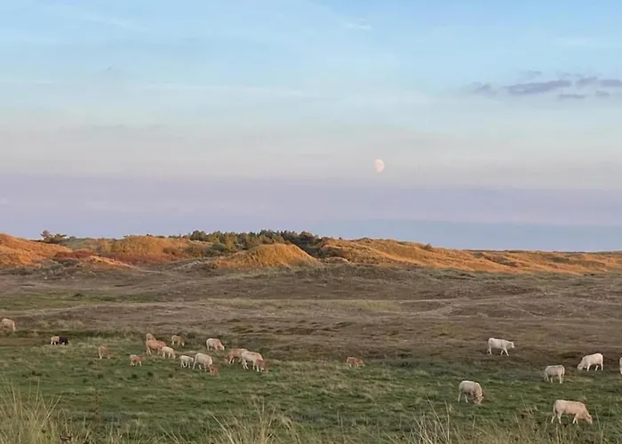 Stone With Fenced Garden Sint Maartensvlotbrug