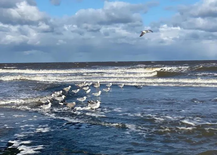 Stone With Fenced Garden Dom wakacyjny