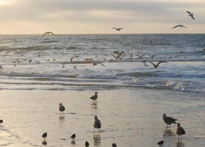 Dom wakacyjny Stone With Fenced Garden